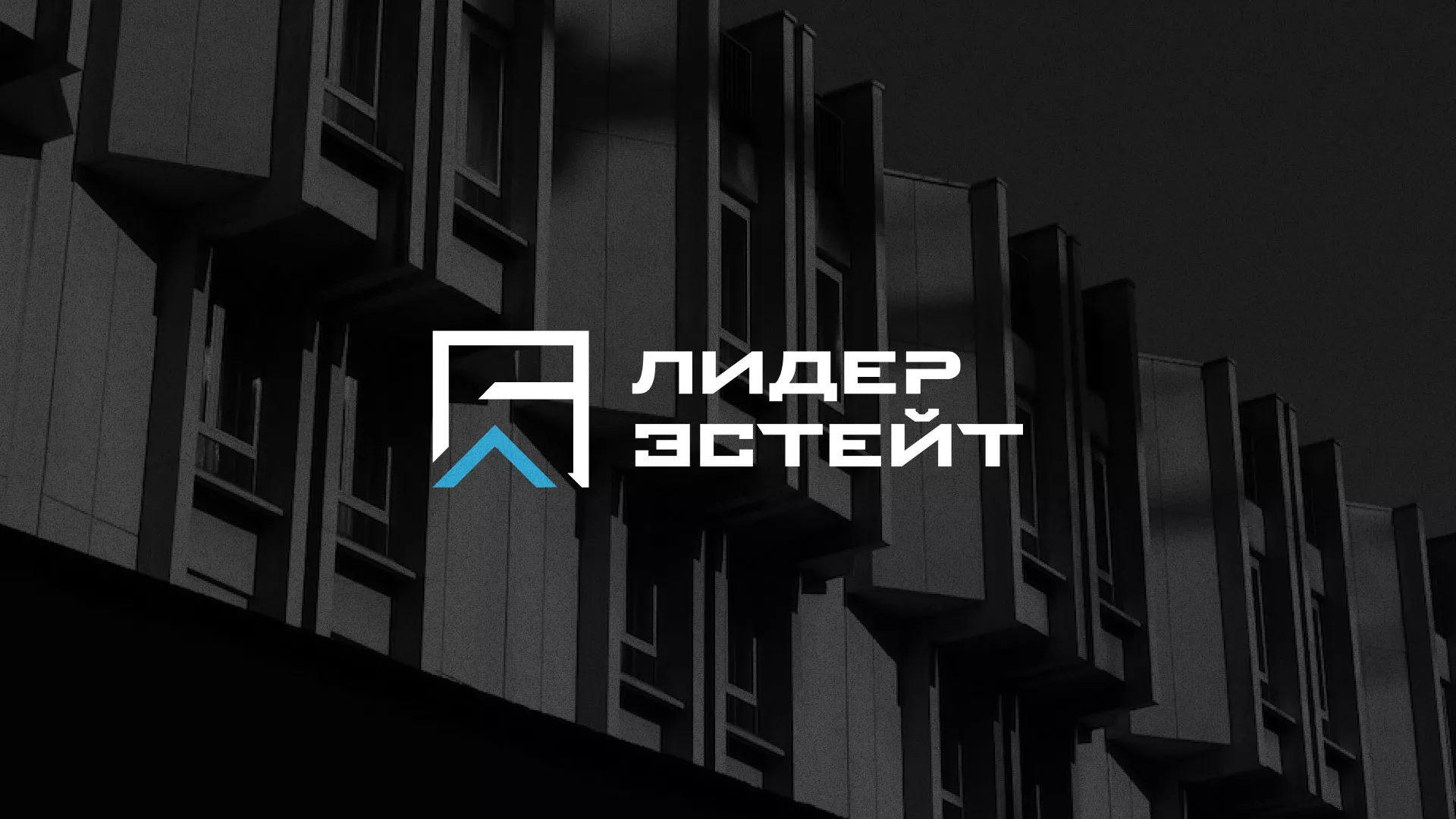 Разработка логотипа агентства недвижимости «Лидер Эстейт» в Мариинске